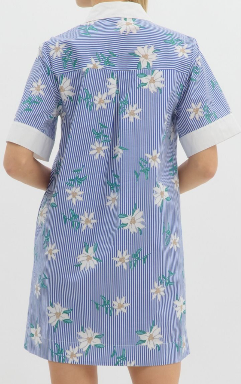 Blue Striped Floral Dress