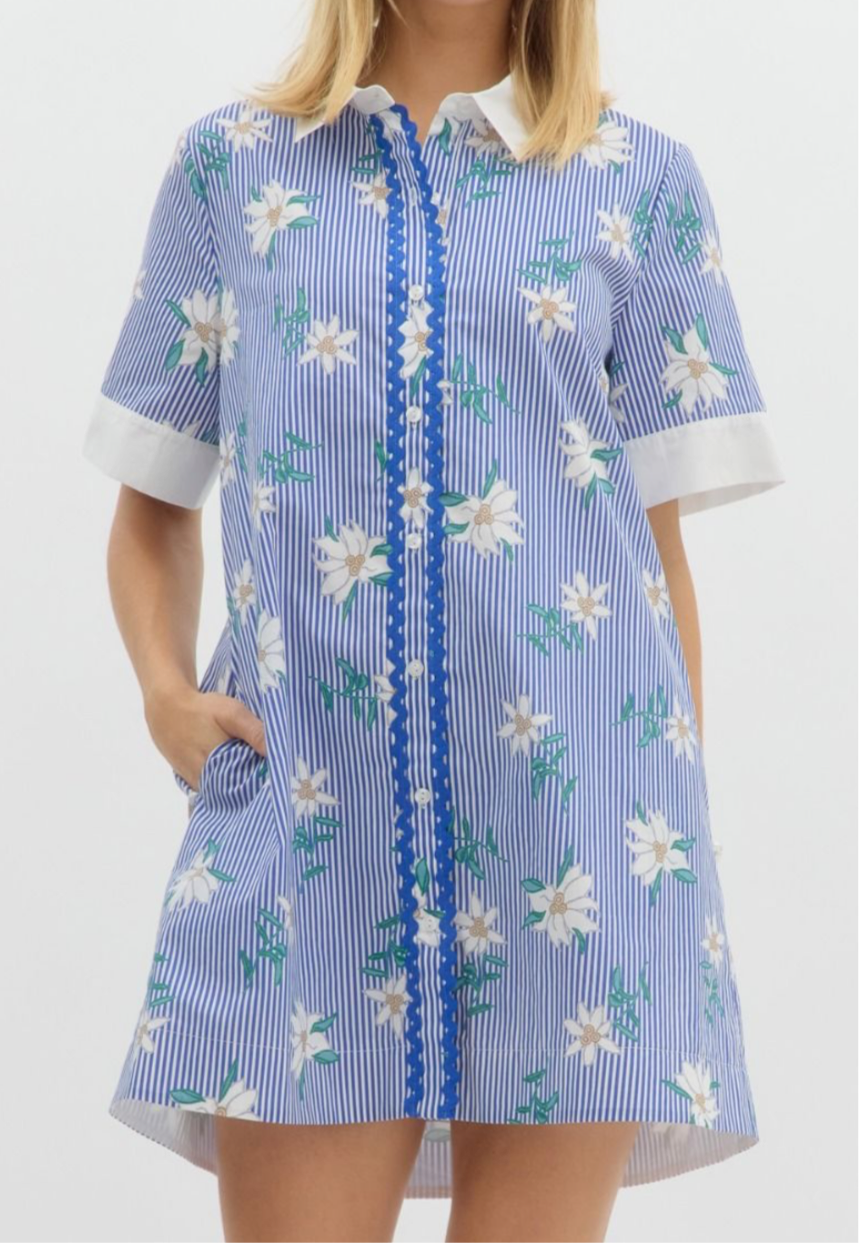 Blue Striped Floral Dress